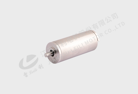 16 Series Hollow Cup Motor