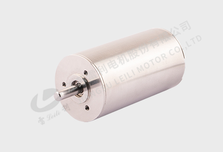 30 Series Hollow Cup Motor