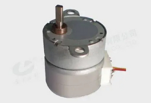 PM Stepping Motor 25BY412-XG