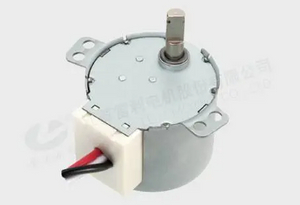 50SM40 Micro Motor