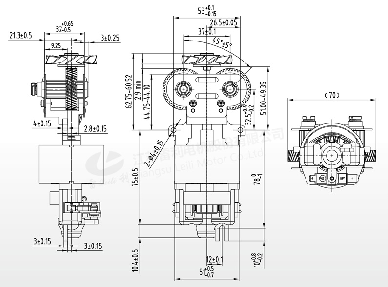 RS-9812 DC Brush Motor