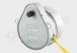 50HM25 Hysteresis motor